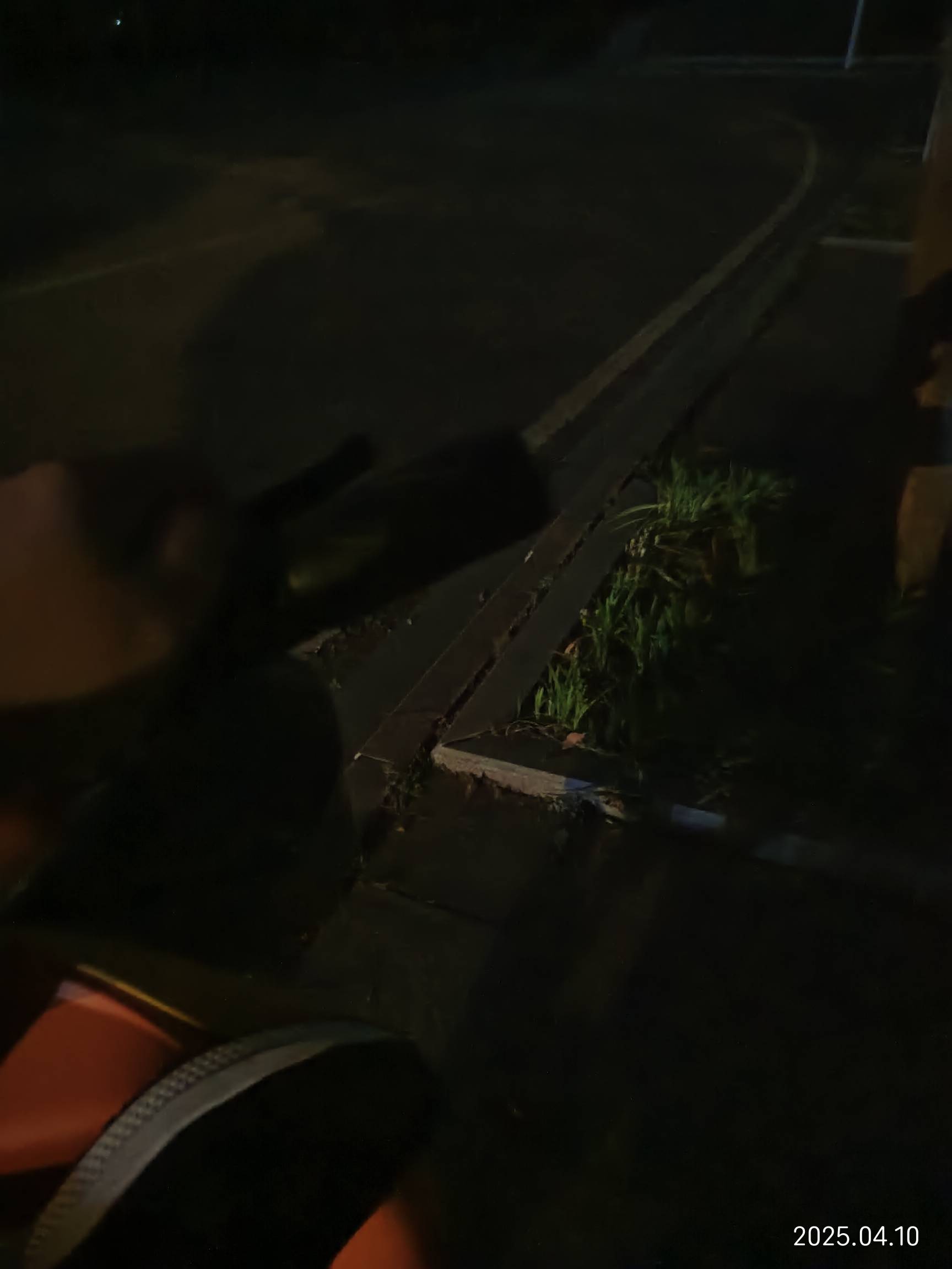 老哥们，真的瘫痪了，瘫痪在公园


32 / 作者:红菜苔 / 