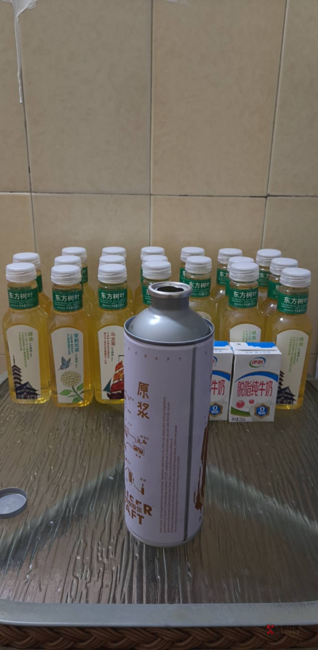 35度热成猪

18 / 作者:小狗说忘忘忘 / 