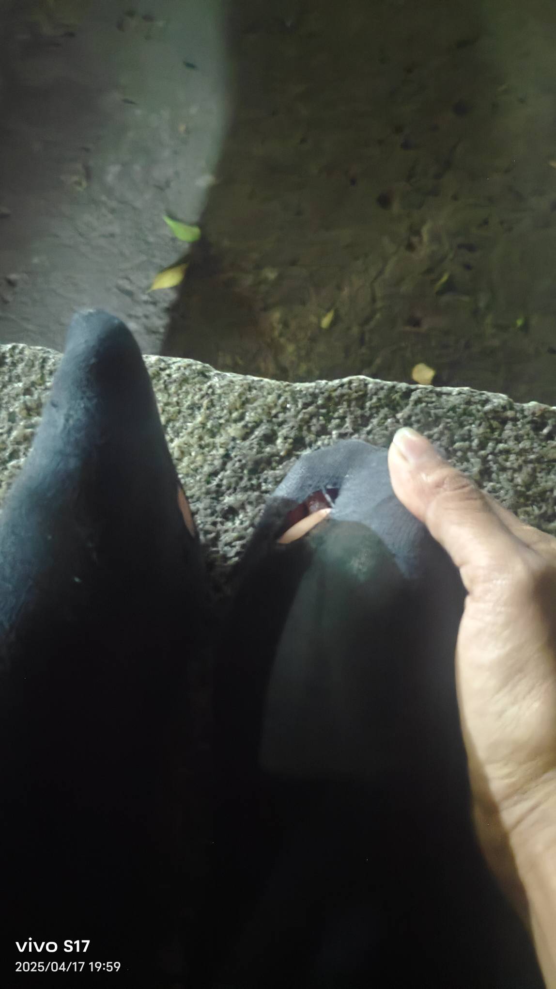 有没有好心的老哥请我吃个一个挂壁面，谢谢老哥已经两天没有吃东西了，只在公共厕所喝62 / 作者:挂壁哥 / 