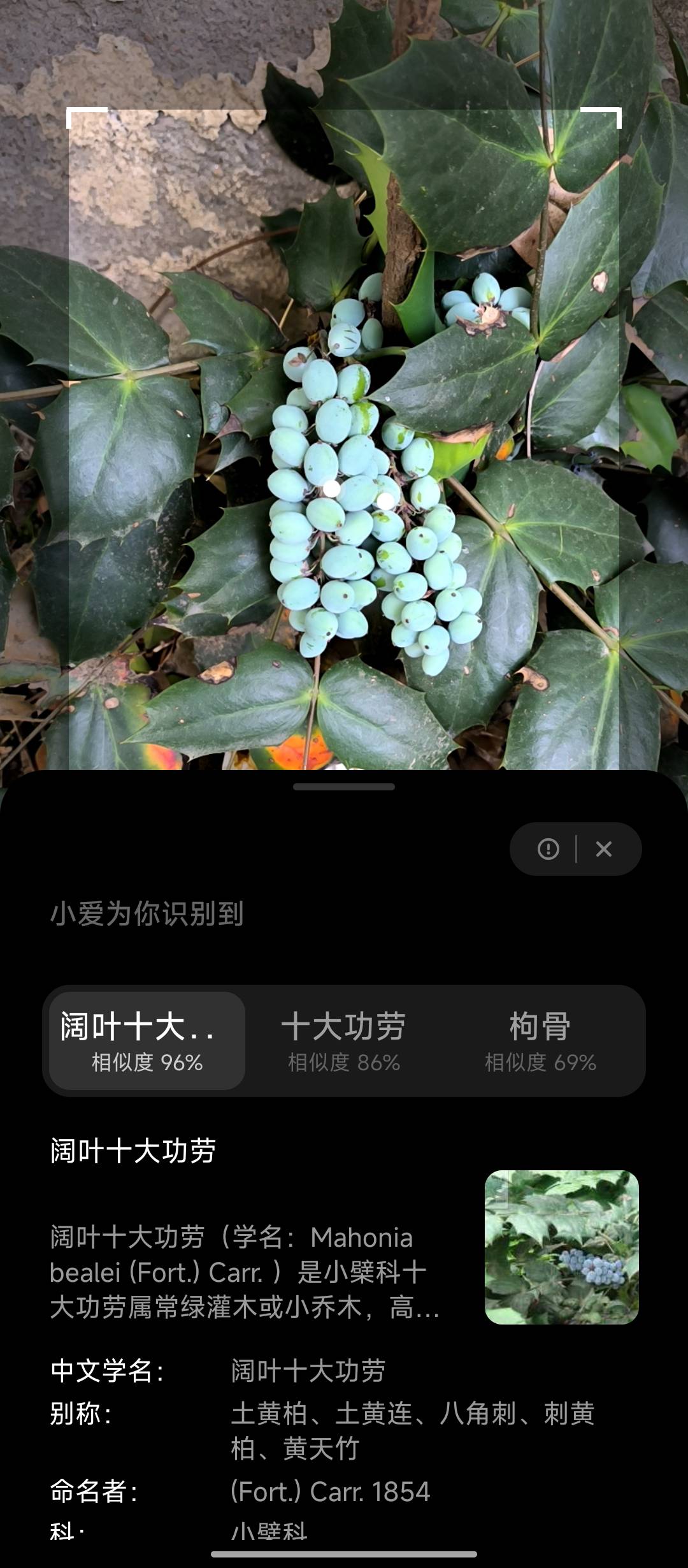 美团闪购测试了小米系统分身，拿到一个号之后删除分身，再创建分身然后换号继续。有的75 / 作者:摇摆的苏丹 / 