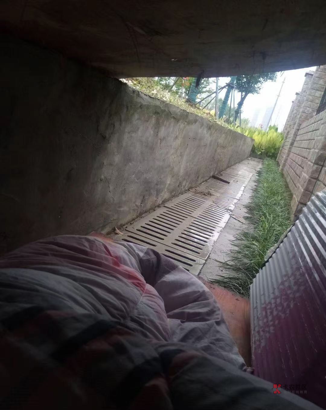 早上好，又是在厂里打螺丝的一天。生活平平静静。但总是乐在其中。

41 / 作者:卡侬-课代表 / 