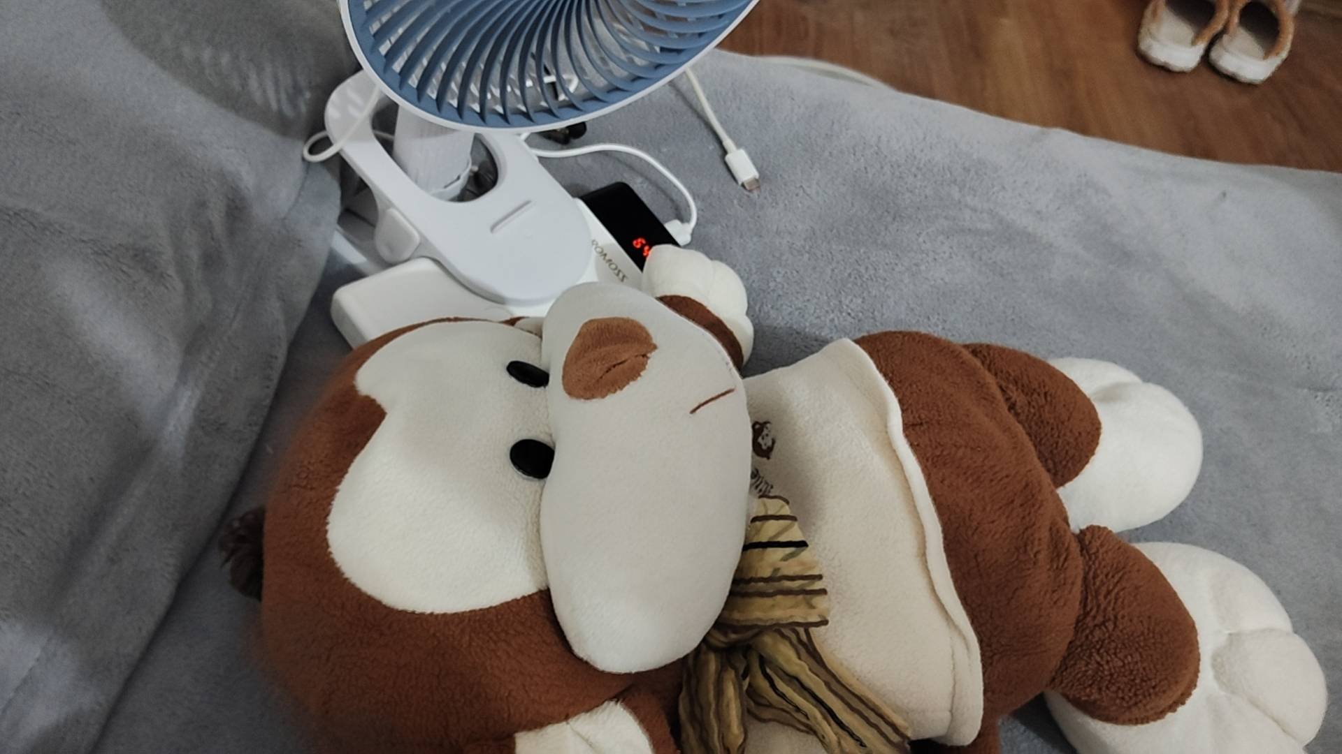 猴子王就是乖宝宝。

2 / 作者:猴子的时候给他 / 