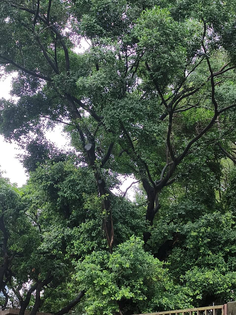 你们快发毛啊 想饿死我老哥不成

54 / 作者:男人永卟言败 / 