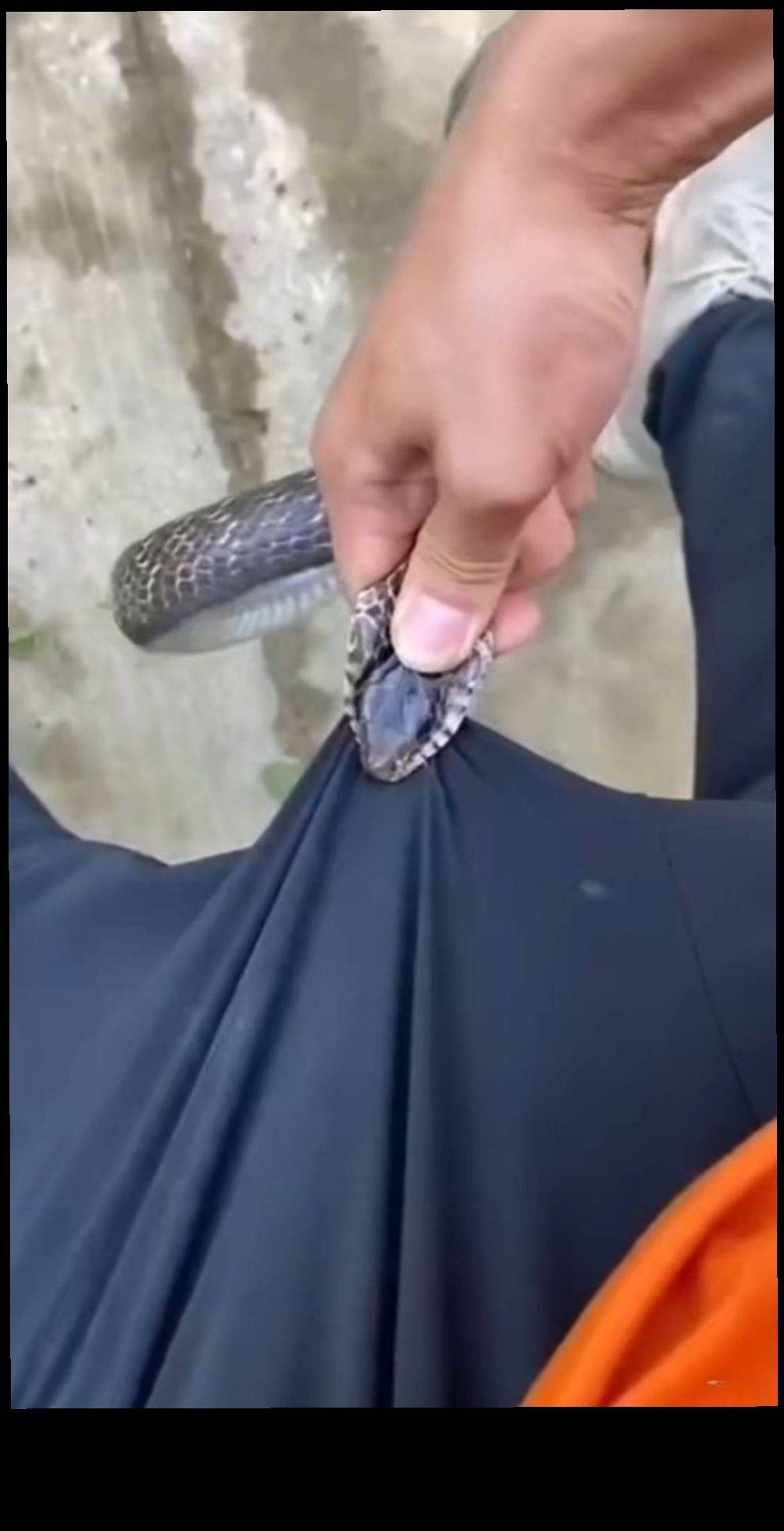 这个月农行我都没有飞过，我看老哥们都没有发毛。该飞哪里？难道真的没有毛吗？

81 / 作者:卡农11O⥳ / 