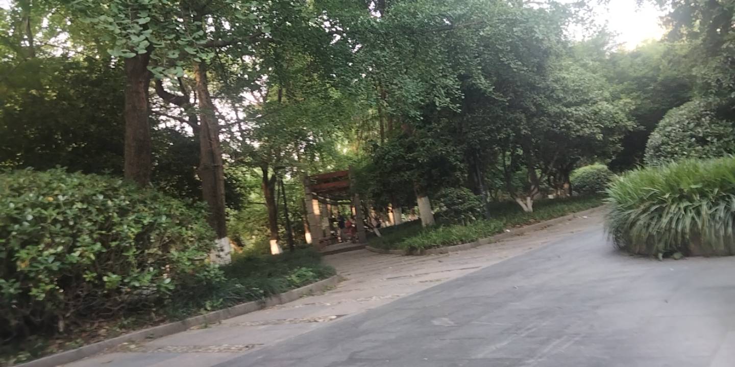 网吧出来了一晚上搞了十几块钱，来公园睡觉，一大堆蚊子围着我转

34 / 作者:宁波躺平老哥 / 