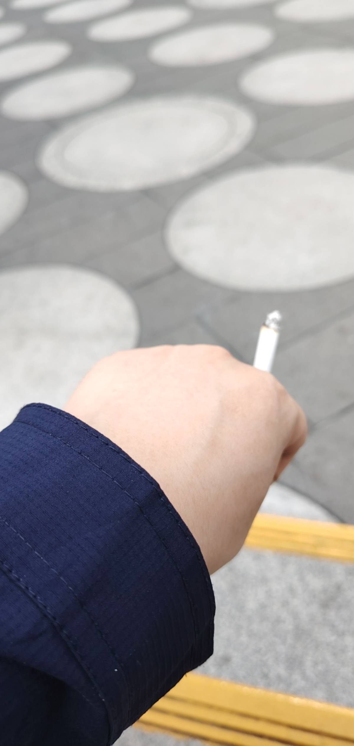 这羊毛盛世如你所愿，挂壁保安搞起来

99 / 作者:是兄弟就来卷我 / 