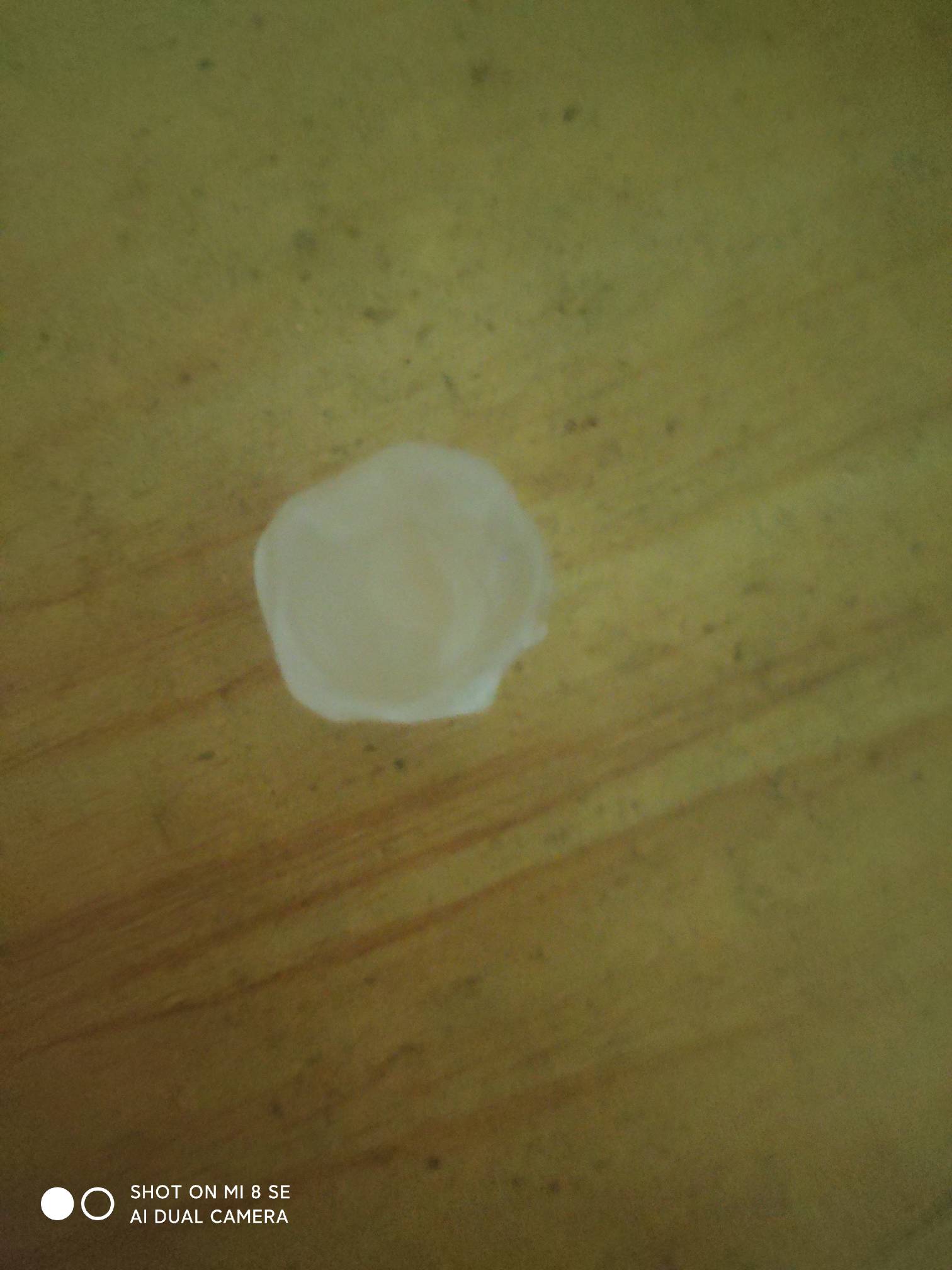 广州狂风暴雨
10 / 作者:模特以塞亚 / 