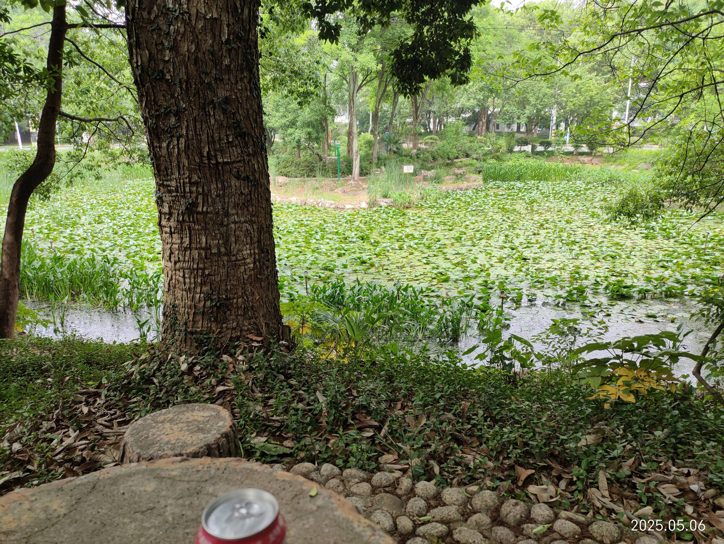 老哥们，刚刚瘫痪在公园，吃完牛肉叉烧饭，现在来酒店开个房，挂比酒店




33 / 作者:小风追云 / 