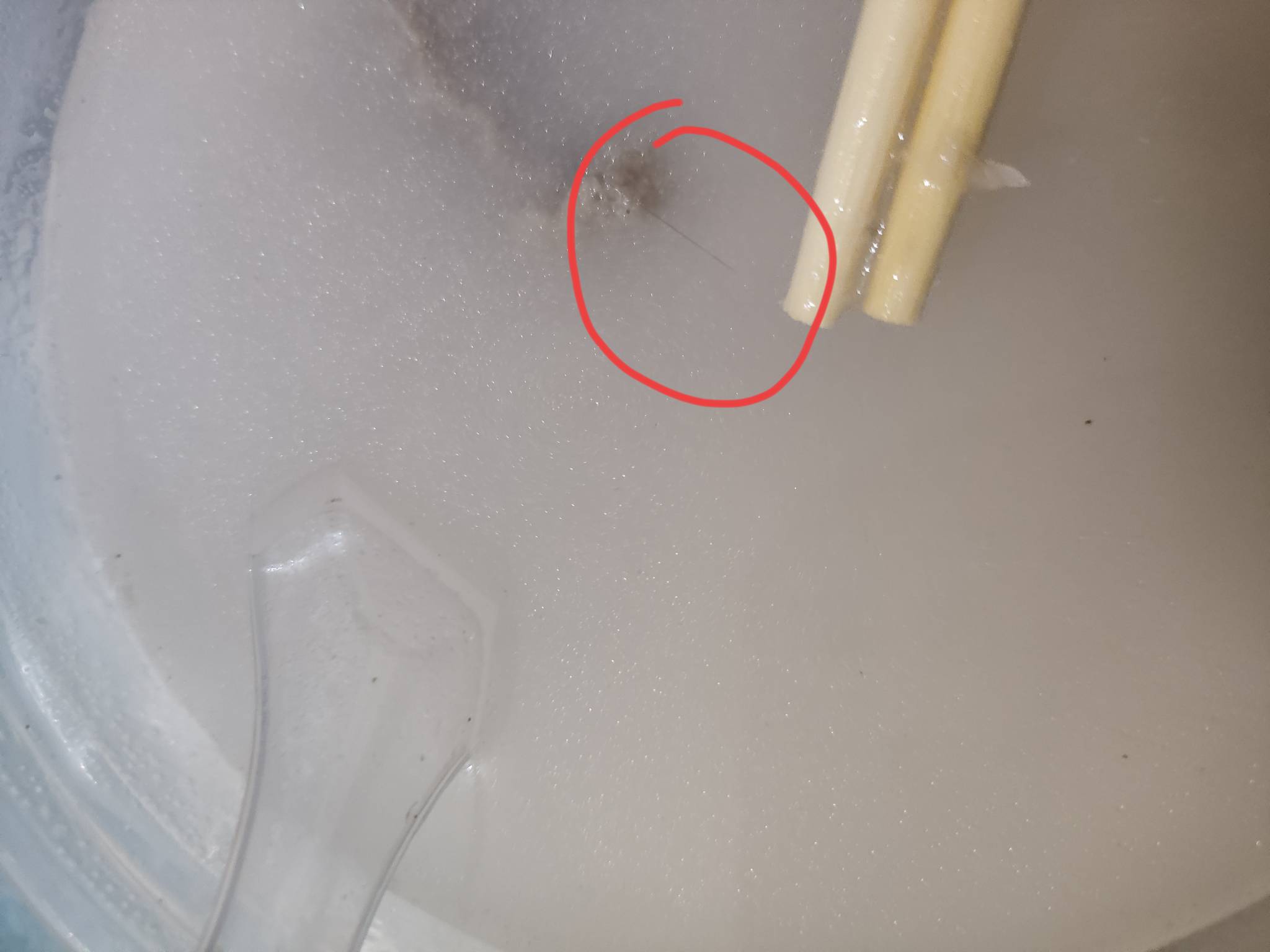 吃了这么多年外卖，第一次是真遇到有头发的。



57 / 作者:红啊 / 
