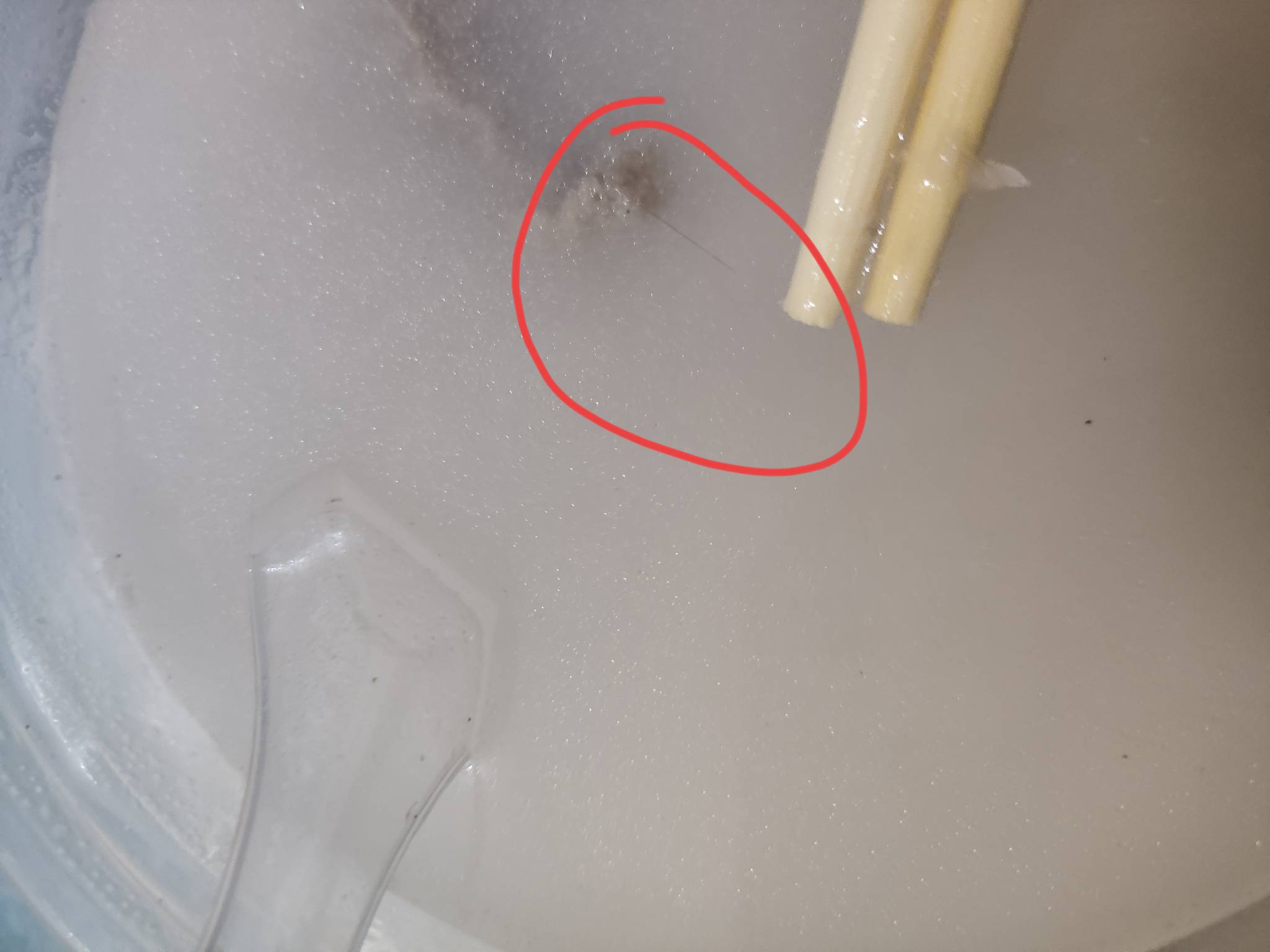 这么多年第一次知道有头发的，直接找商家，全部到了才吃一点




10 / 作者:红啊 / 