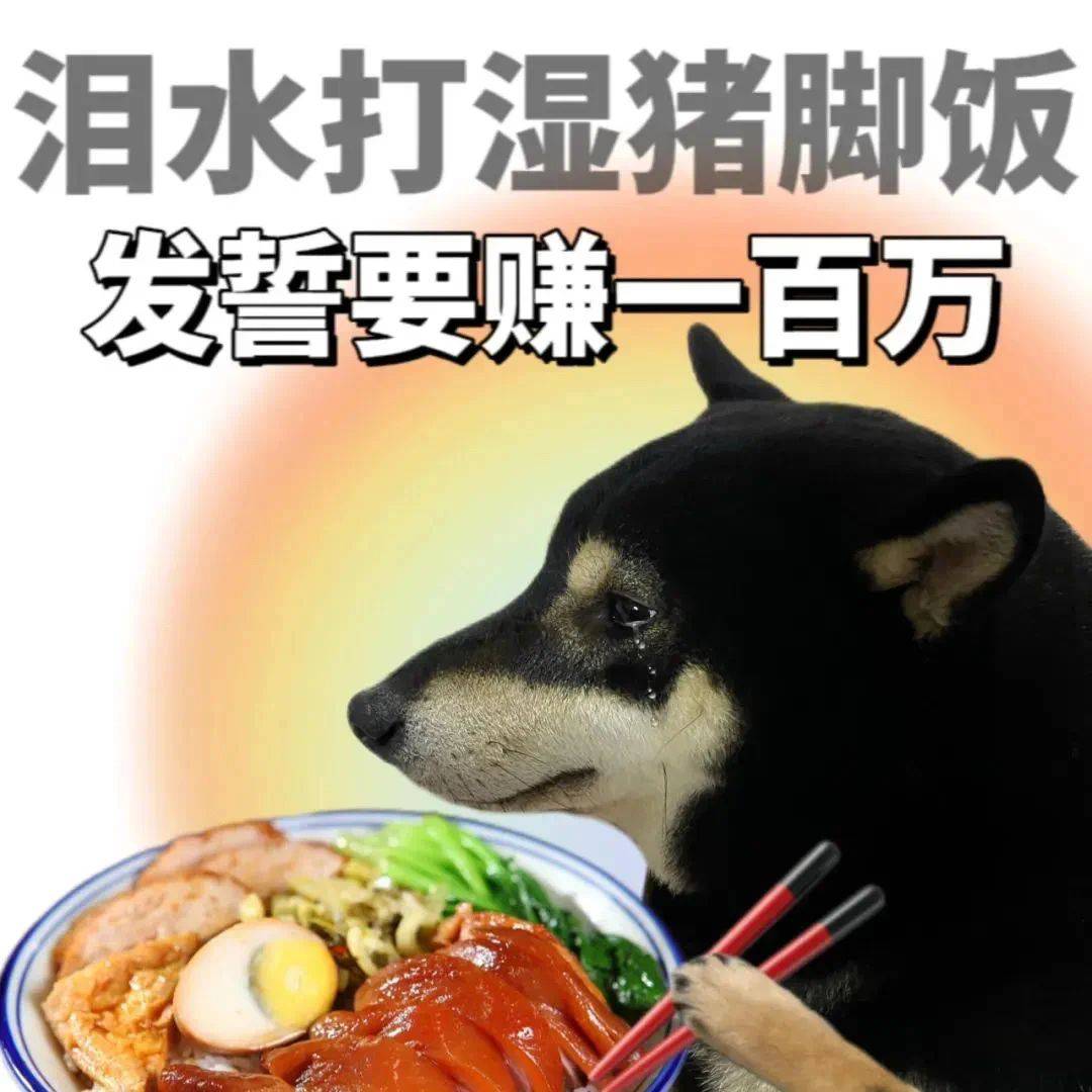 来毛来毛

21 / 作者:初一email / 
