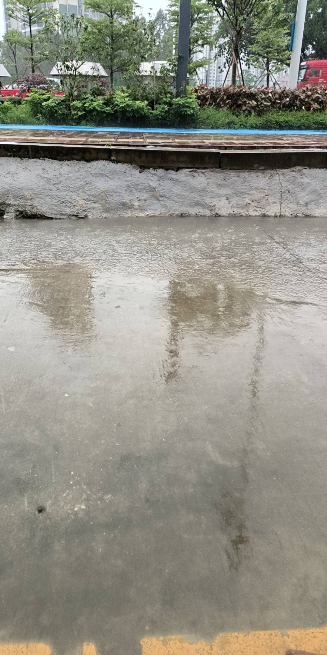 舒服了嘿嘿嘿，快下班开始下大雨

10 / 作者:大哥让我先跑 / 
