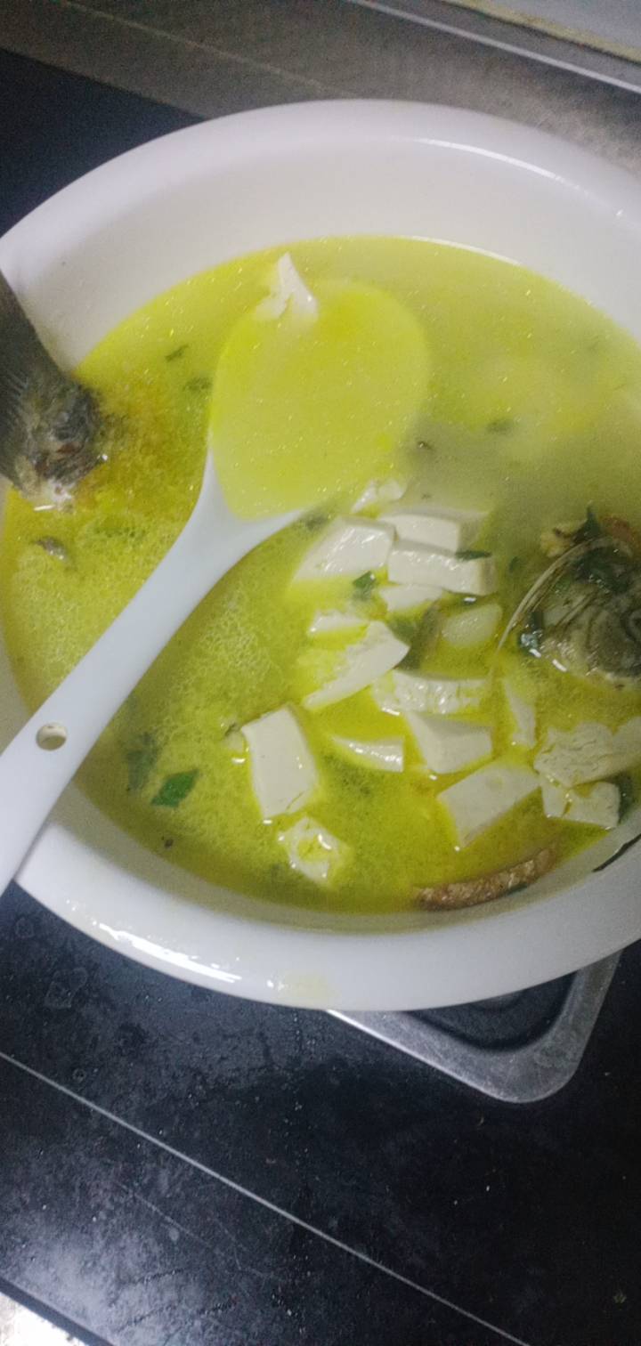 八块钱买了条鲫鱼，配上两块钱豆腐，吃不完

74 / 作者:一站宜白路 / 