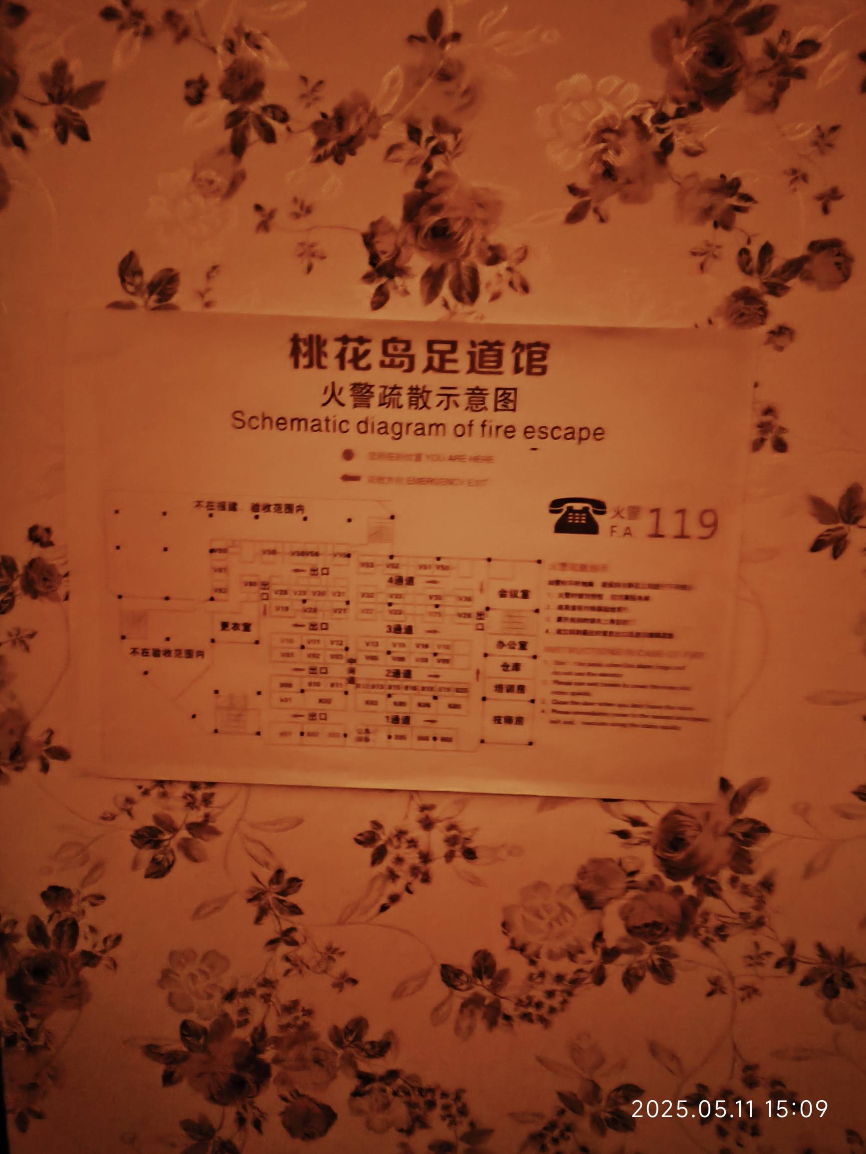 又来放松下

85 / 作者:重生之我在卡农申请毛 / 