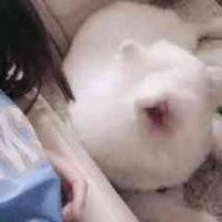 瑞幸26有人收吗？

20 / 作者:给我的时候天空 / 
