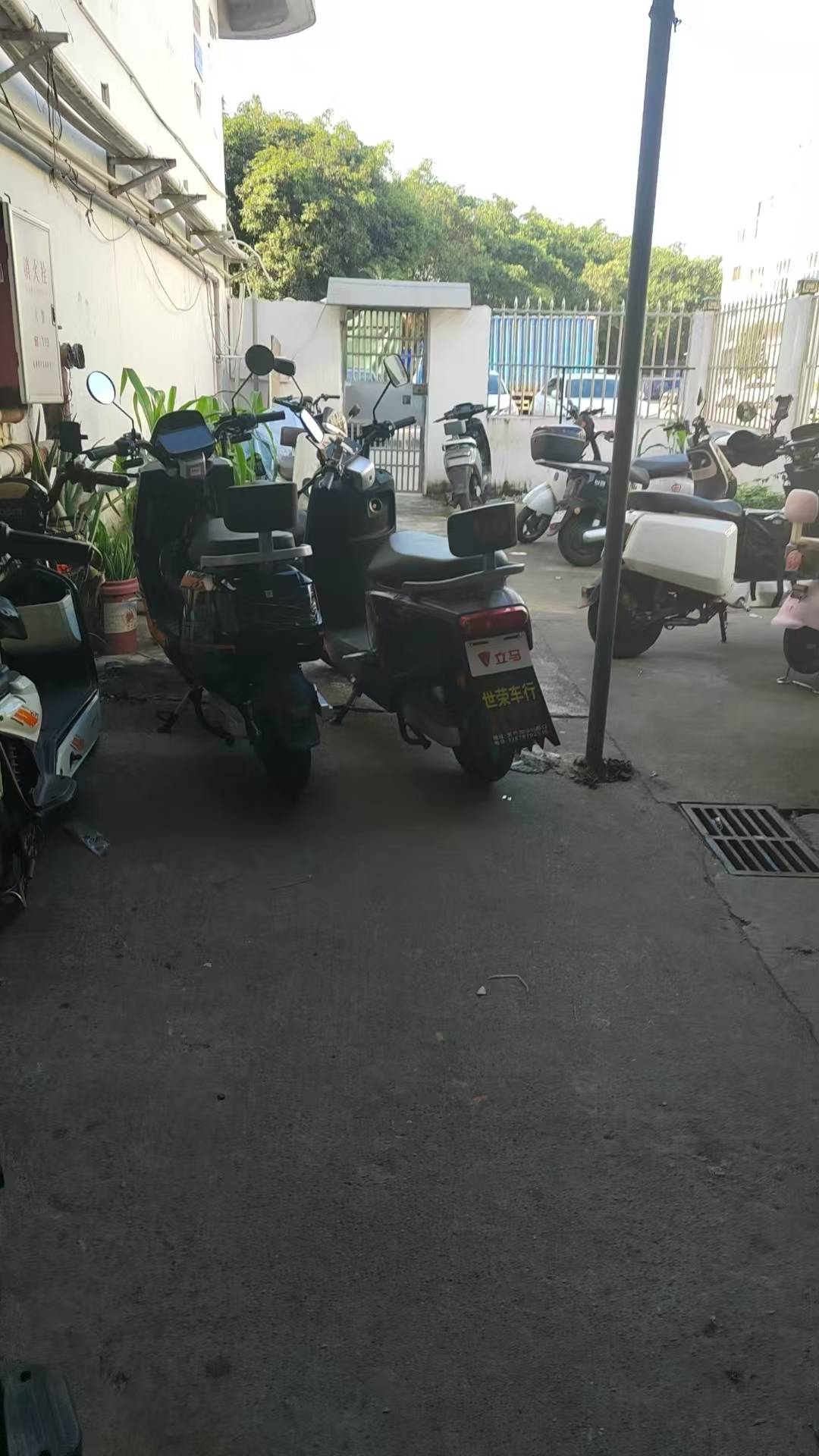 老哥们这些掉毛老是堵住路怎么办，给二手房东说了也没用，要不要放气

87 / 作者:挂比了救我鸭 / 