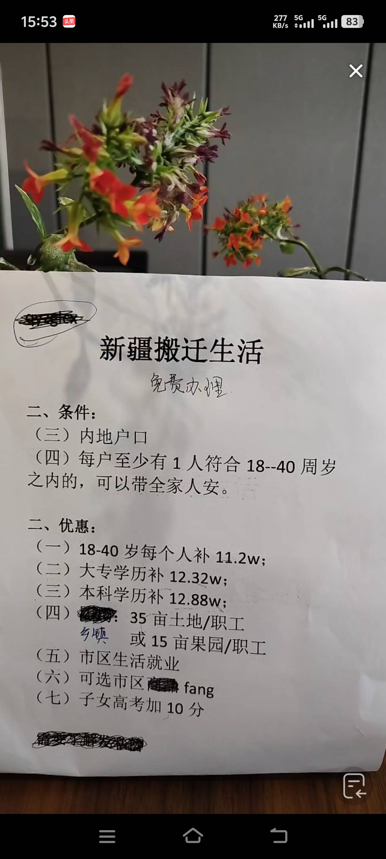 这是大毛

96 / 作者:风骚露骨 / 