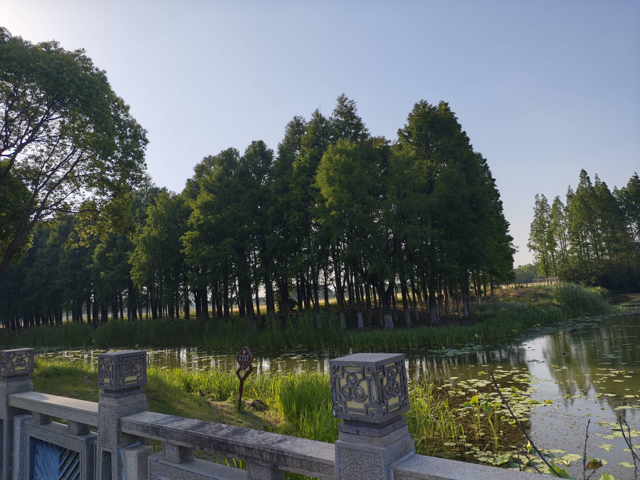老哥们都没我住的偏僻，小区后面就是地，荒无人烟

7 / 作者:臭豆腐狼牙土豆 / 