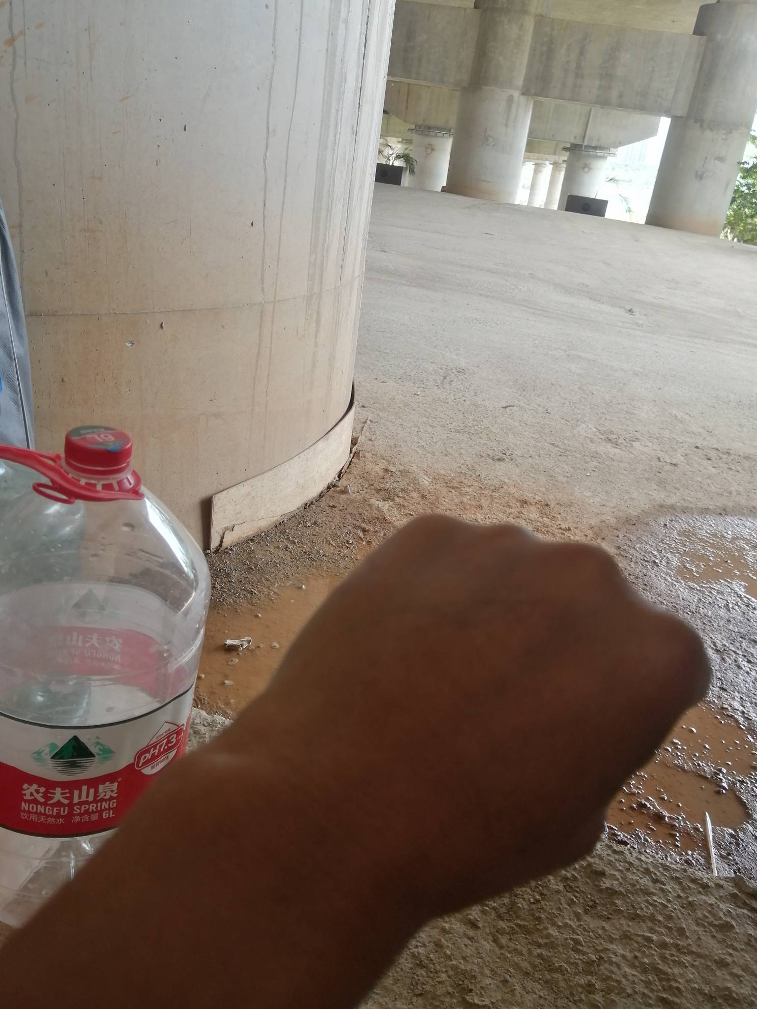 一个大哥看我流浪，送我的，值钱吗？我还不会玩50多年没用过苹果


1 / 作者:卡农新来的 / 