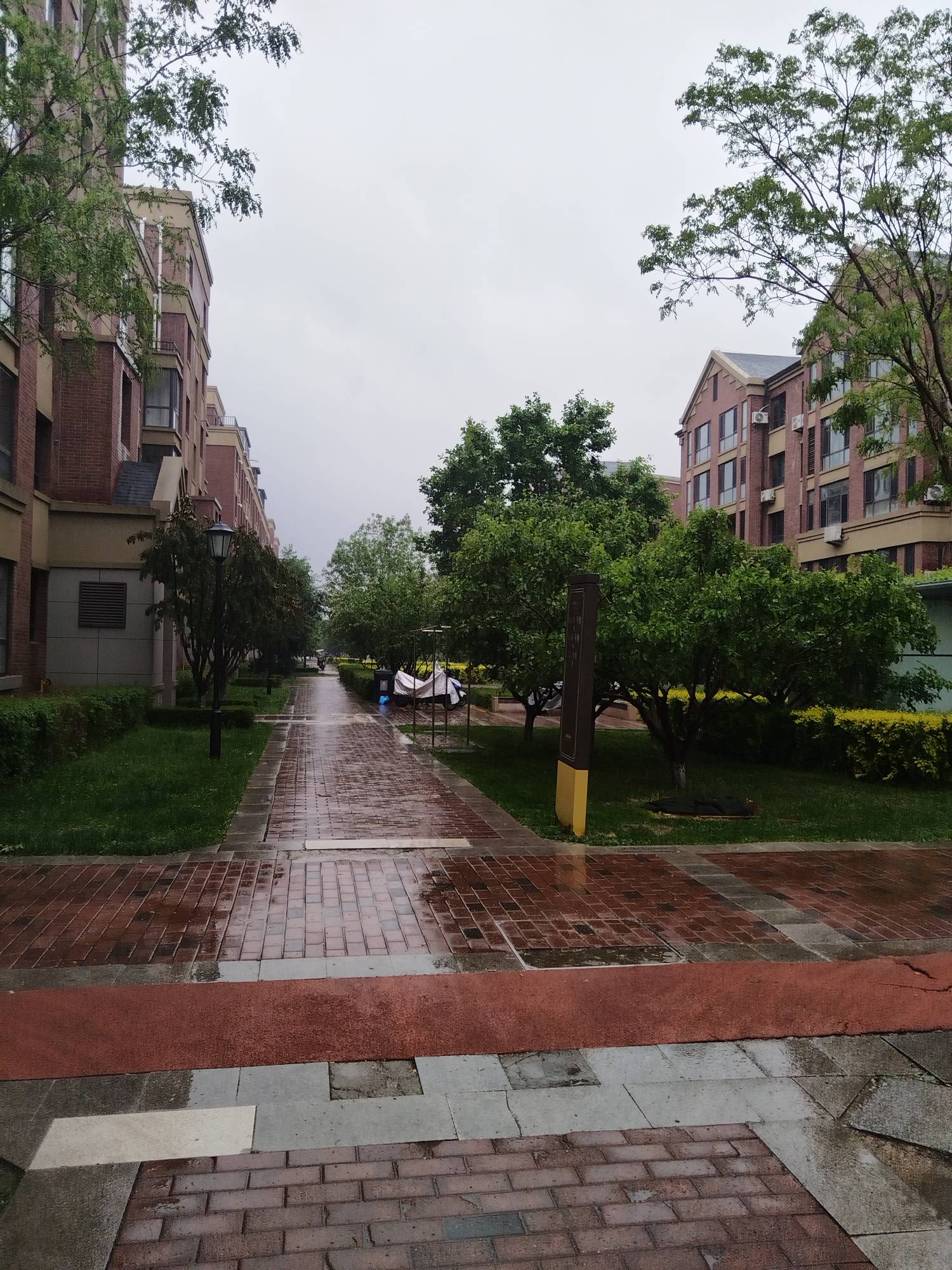 雨天喜欢溜达，在屋里待着闷得慌。买菜去！

30 / 作者:两只猴子 / 