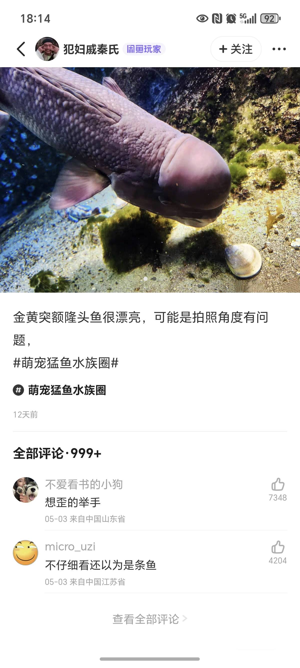 喜欢吗，这是条金鱼

34 / 作者:封神之战哇 / 