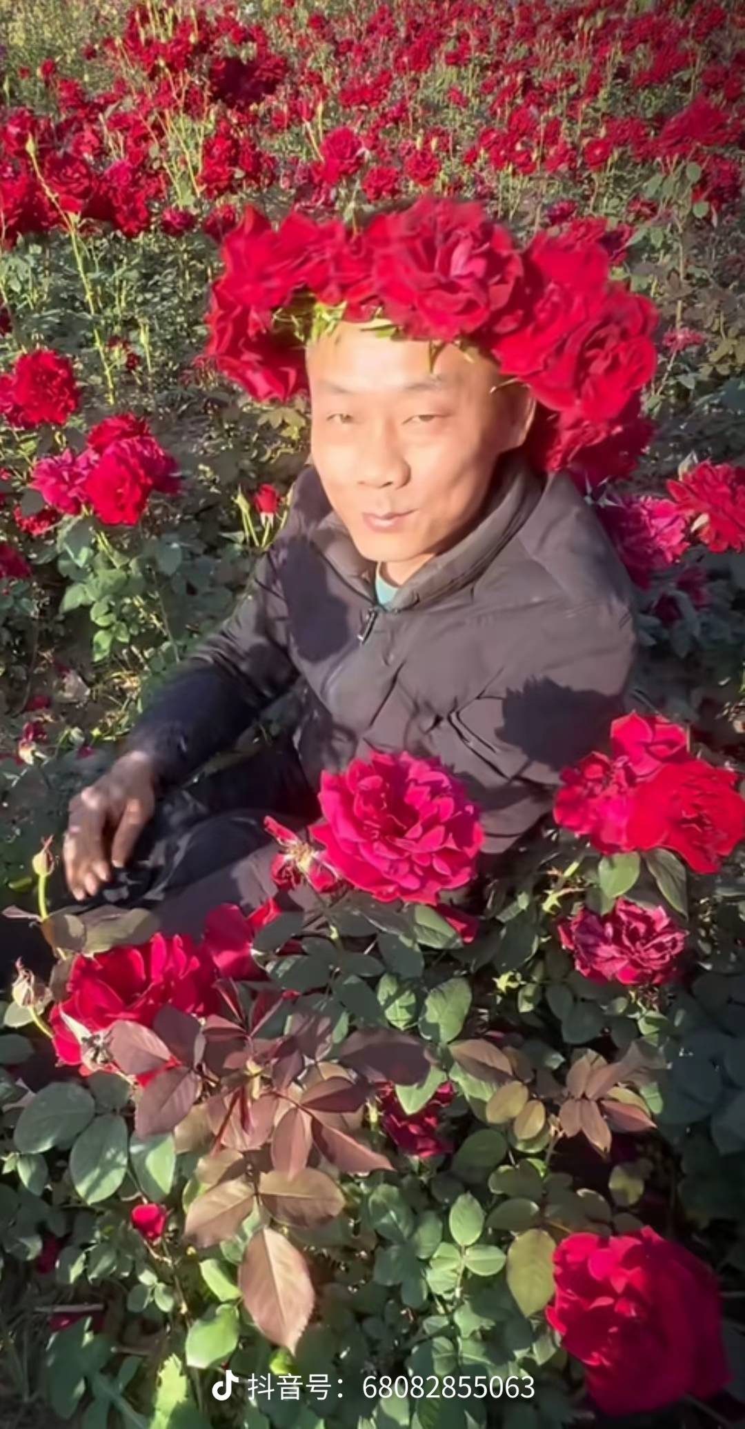 卡农老哥真是没节操了

5 / 作者:卡农高育良 / 