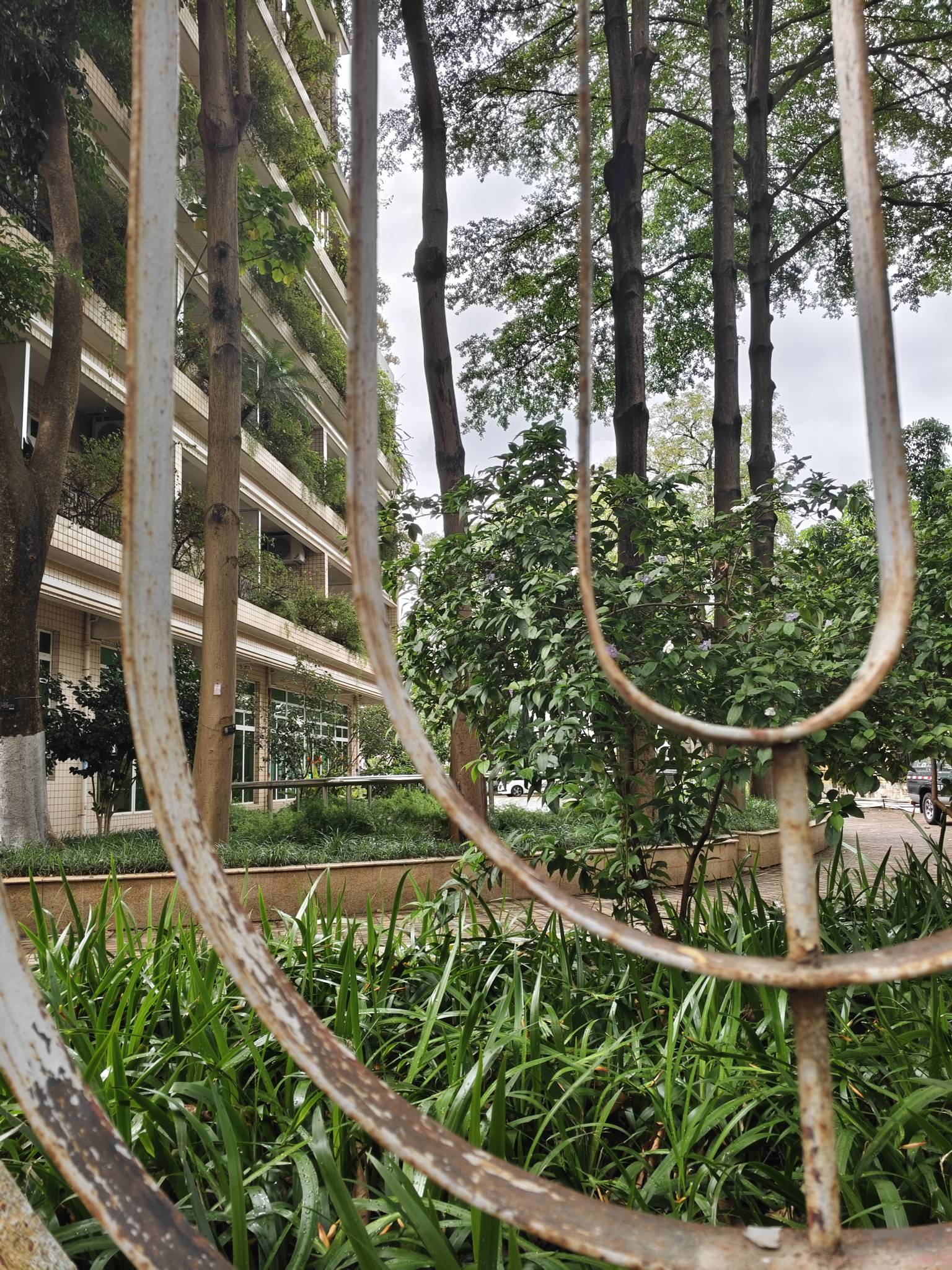 新冠之后身体有点难受啊

84 / 作者:雾都平稳的仙茅 / 