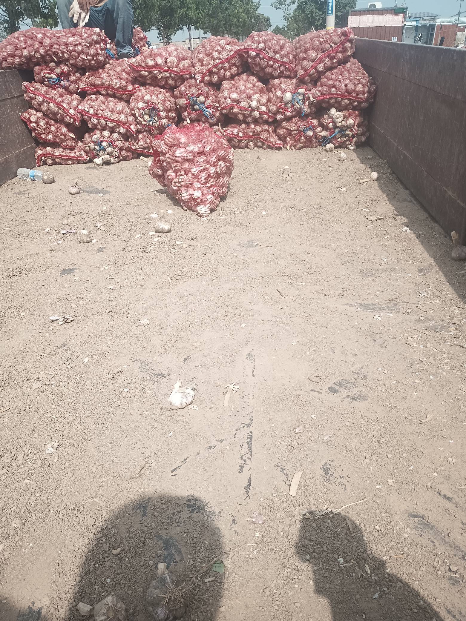 装大蒜一吨40一车50吨左右12个人一天三车除去吃喝500左右，季节活，也就10多天，真金56 / 作者:抠脚小汉 / 