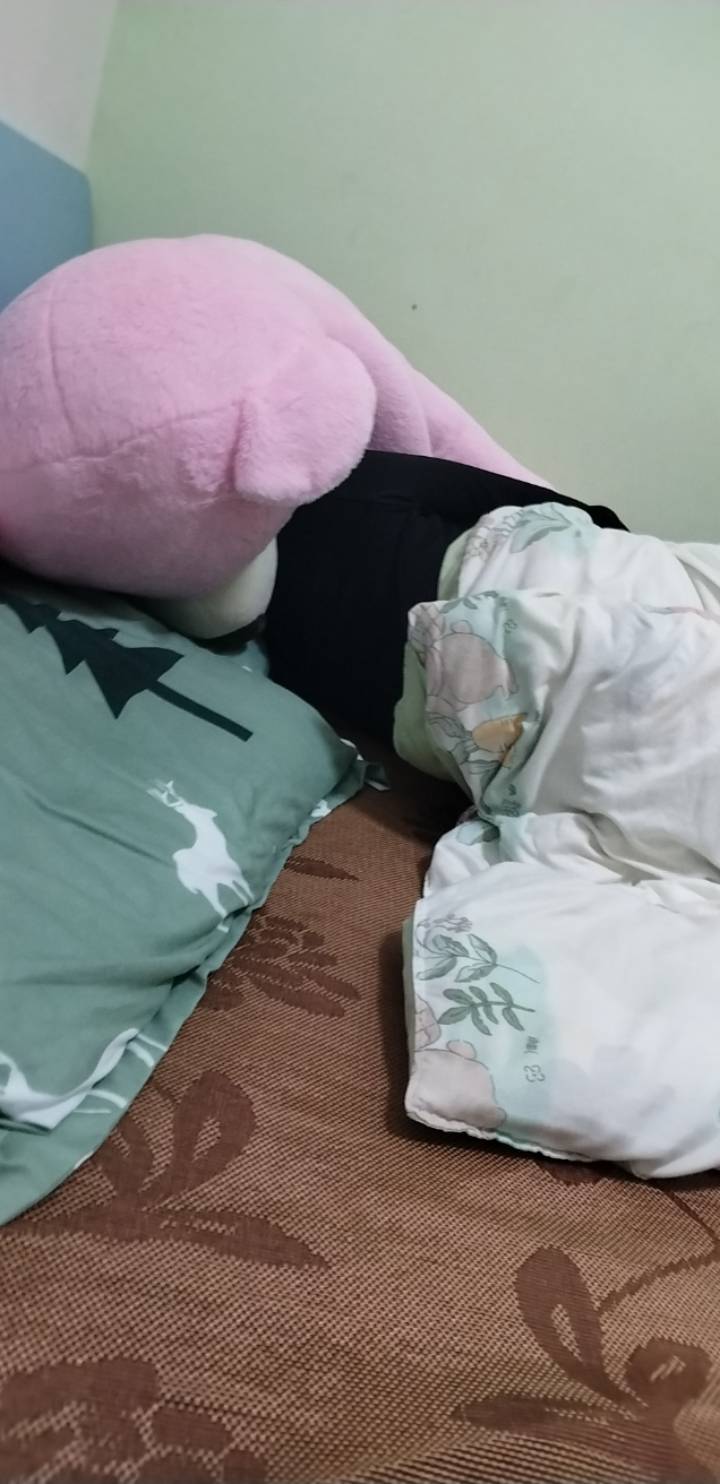 女朋友这什么睡姿啊，把熊压住自己睡

70 / 作者:挂比了救我鸭 / 