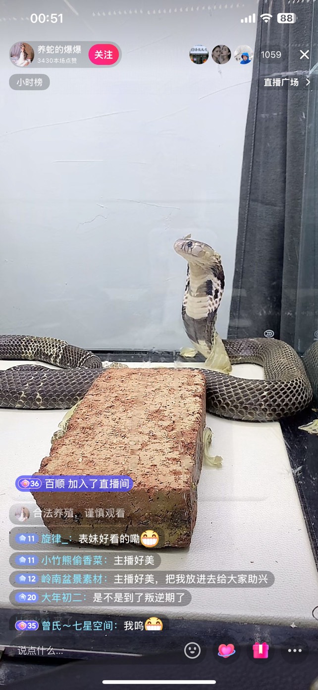 咬你们这些个CS 请叫我蛇哥

7 / 作者:肉吃的不 / 