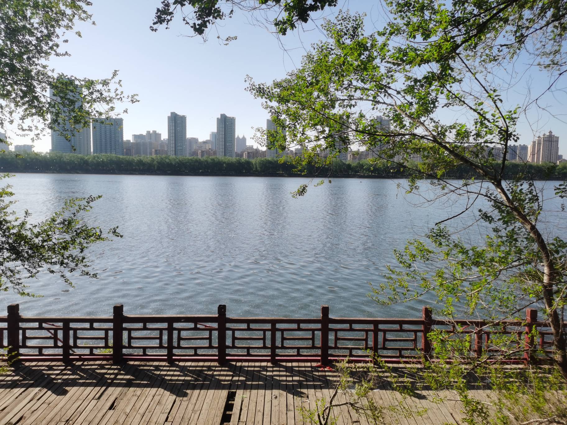 今日无毛，挂壁公园


53 / 作者:番茄炒土豆 / 