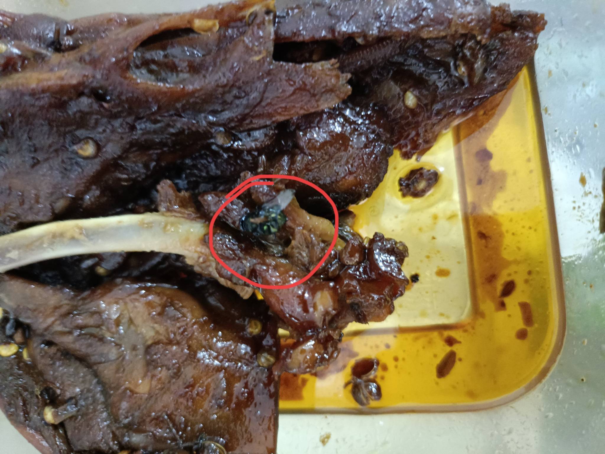 京东吃到蚊子赔 是什么毛？
7 / 作者:你媳妇真棒 / 