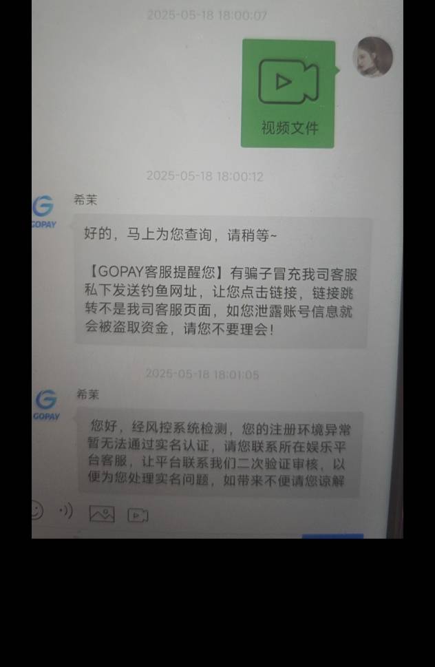 老哥们 出gopay实名 他说没成功  我是被骗了吗？？？

70 / 作者:乔总真是太好了 / 