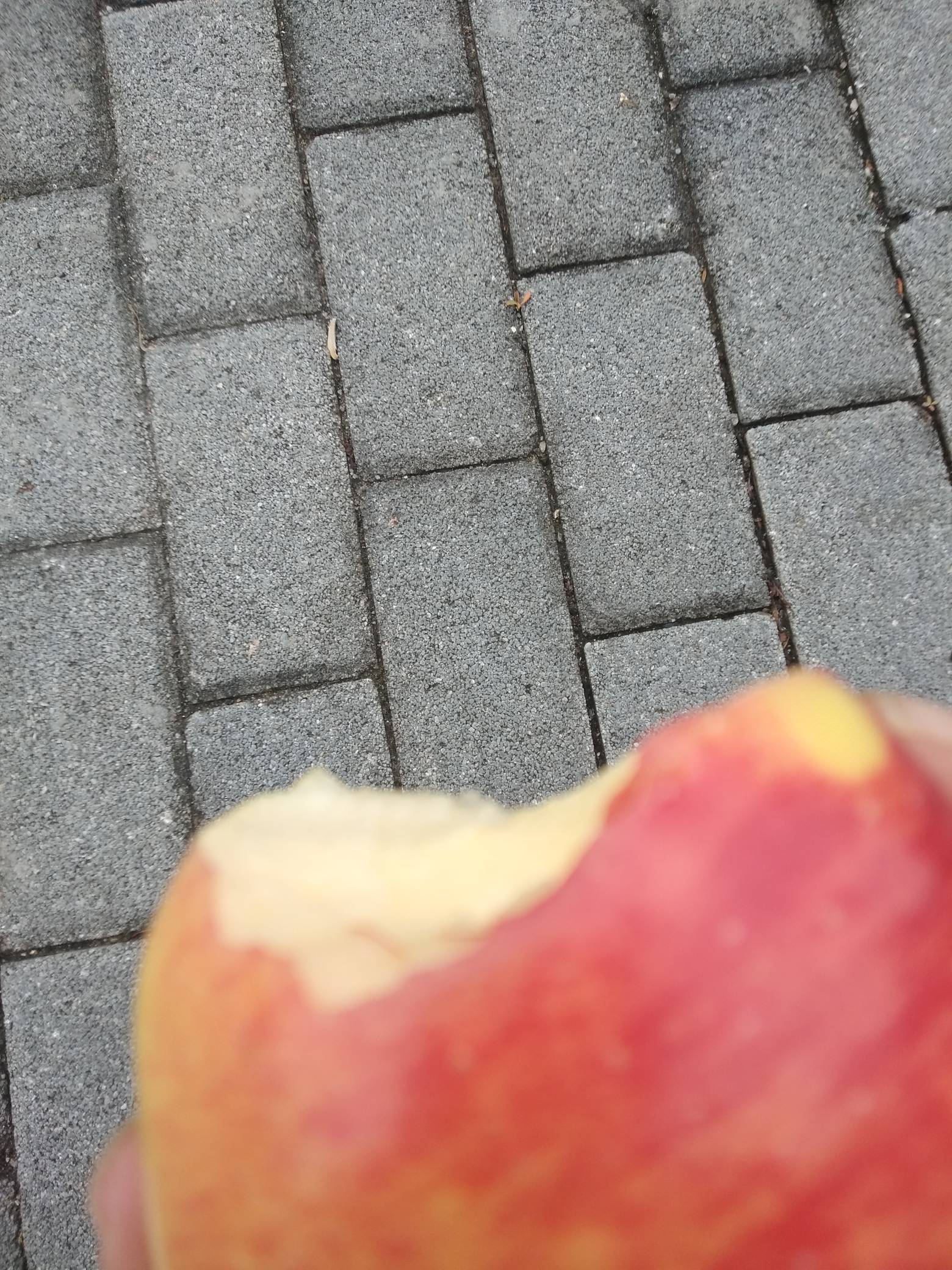 老哥们早啊，好饿，毛呢

40 / 作者:尛•牛•氓 / 