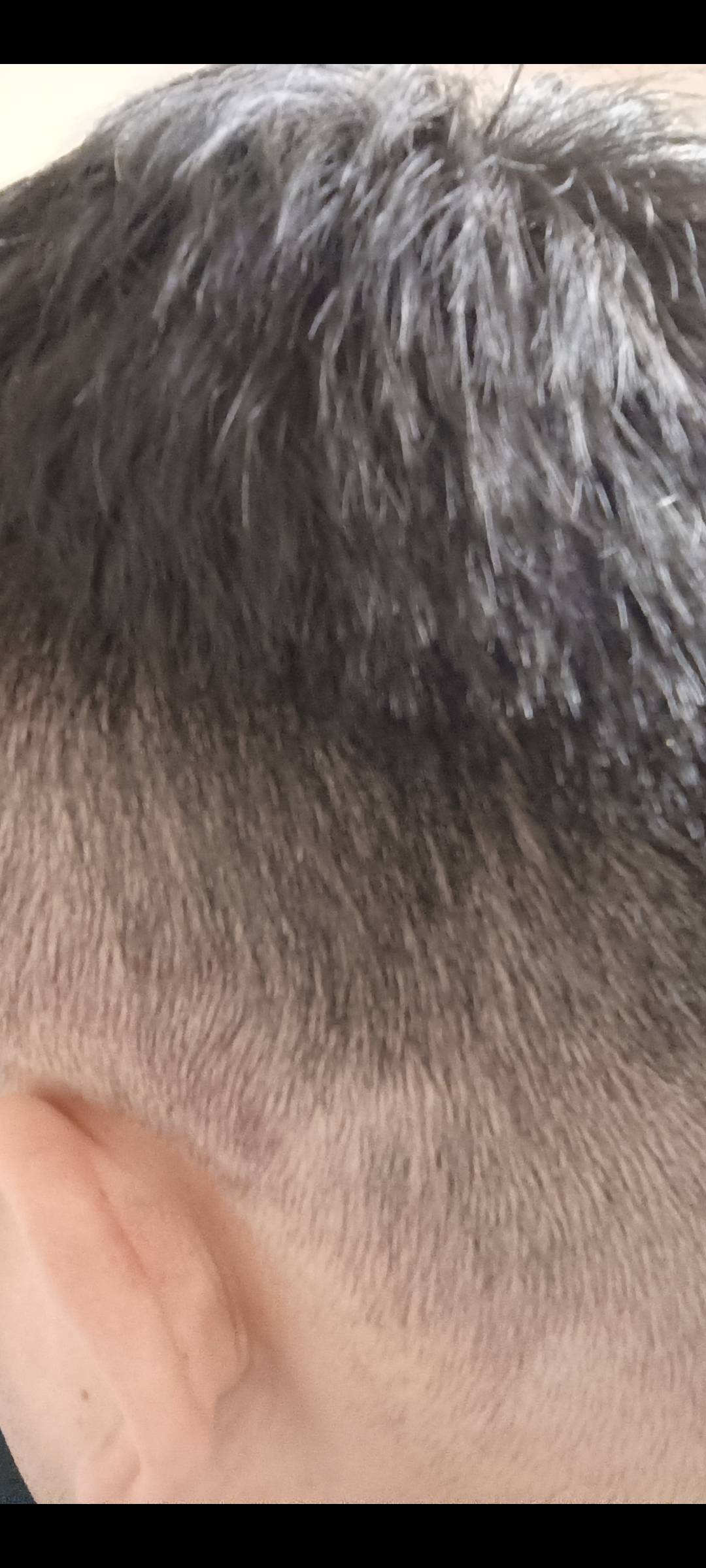 给我剪头发的筹愁煞，20块钱给我剪成这样，当场我要是发现，我要骂四那个狗日的发型师85 / 作者:小爪哇 / 