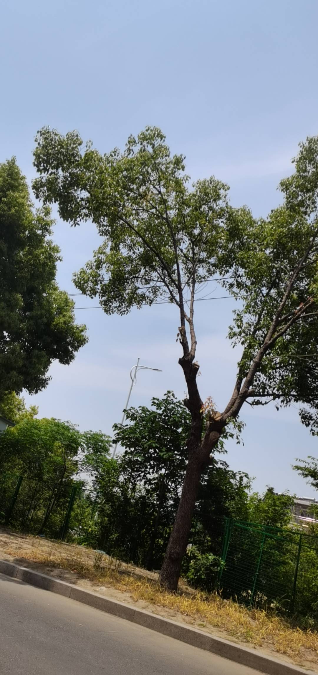 老哥们还得是工厂啊，没来打螺丝之前失眠抑郁，吃点好的还消化不良还得去跑步，现在下64 / 作者:老哥想上岸！！ / 