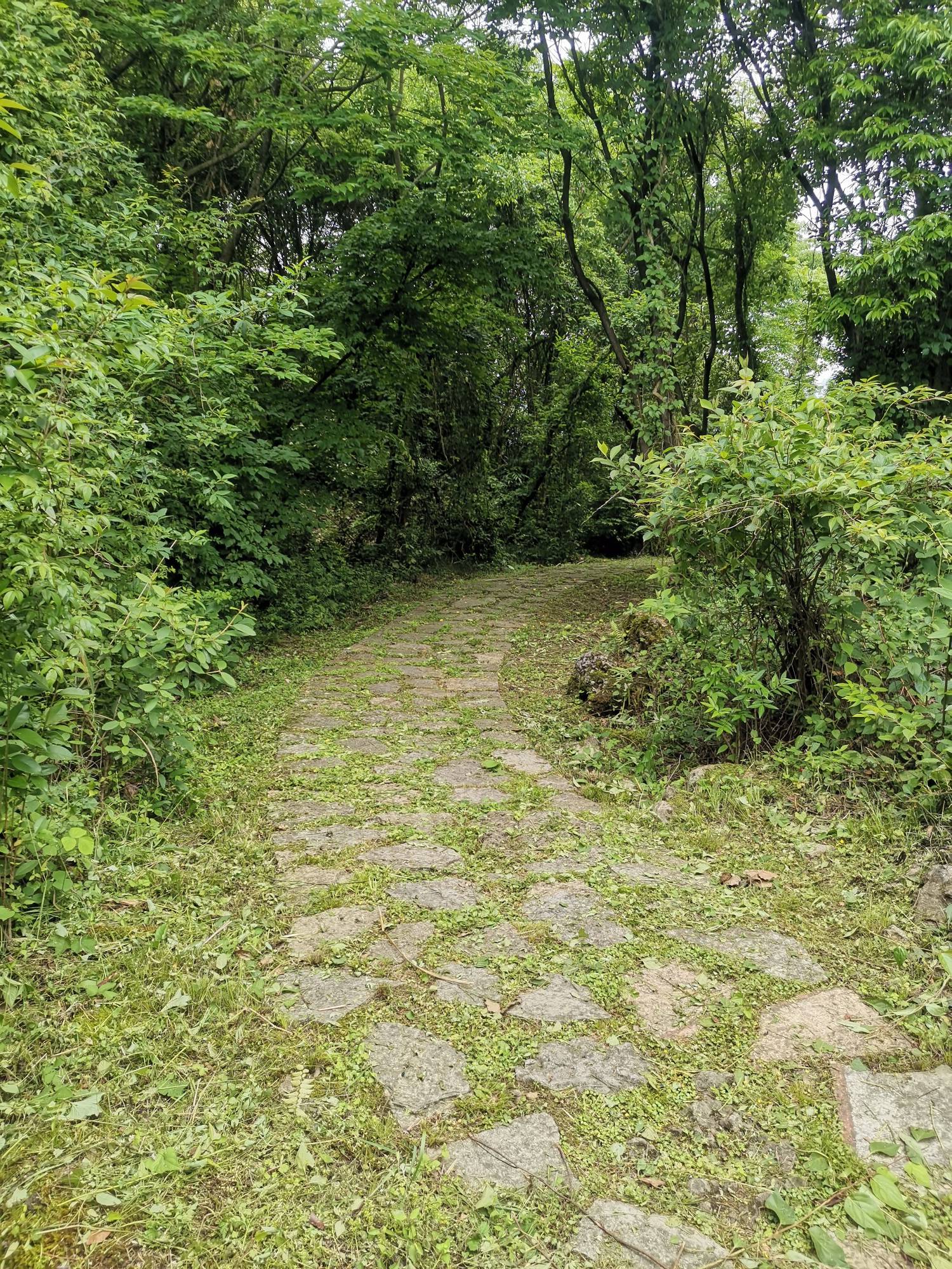 嫌着没事上观山湖公园转一下


37 / 作者:浪花的泡沫、 / 