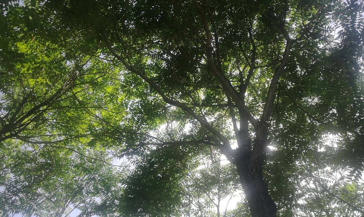 老哥们 热炸了 

100 / 作者:努力优秀_ / 