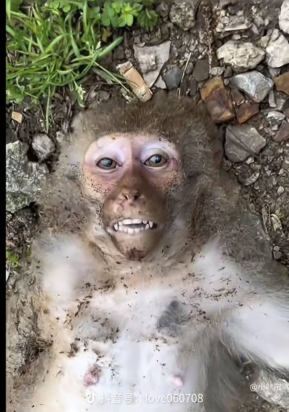到现在还没破零怎么活啊

15 / 作者:人死鸟朝天 / 