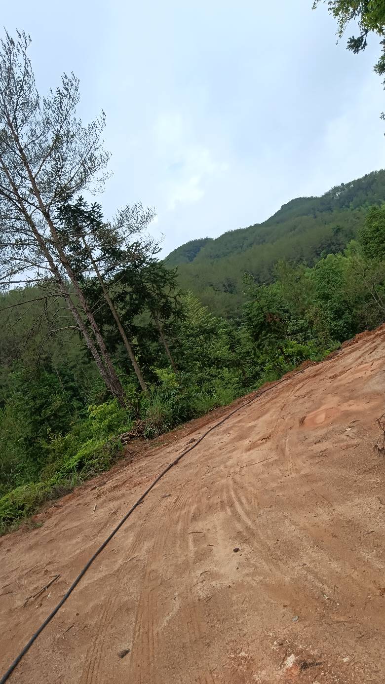 要下暴雨了



2 / 作者:福建牛德华 / 