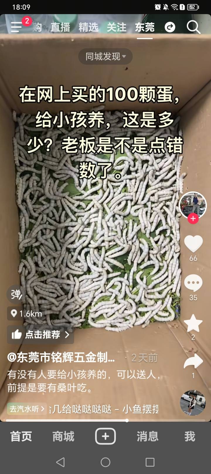 这是什么玩意，我怎么没见过

46 / 作者:挂比了救我鸭 / 