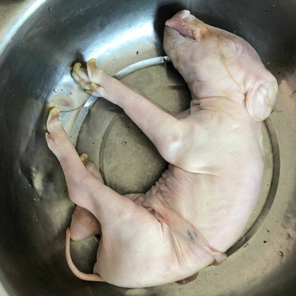实在太饿了，拼多多10块买的，等会做烧烤吃


55 / 作者:白菜阿珂 / 