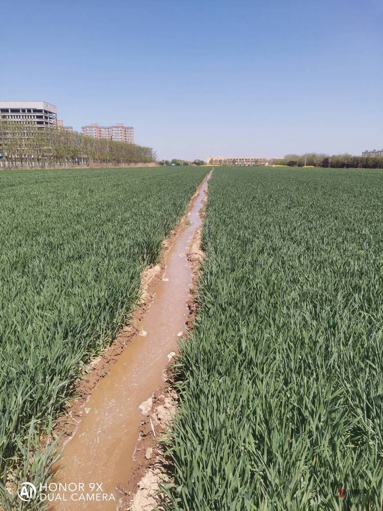 现在种地划算吗？老哥们
就种小麦跟玉米，还有不到5亩地，种子，化肥，人工，浇水，打90 / 作者:你我已入账 / 