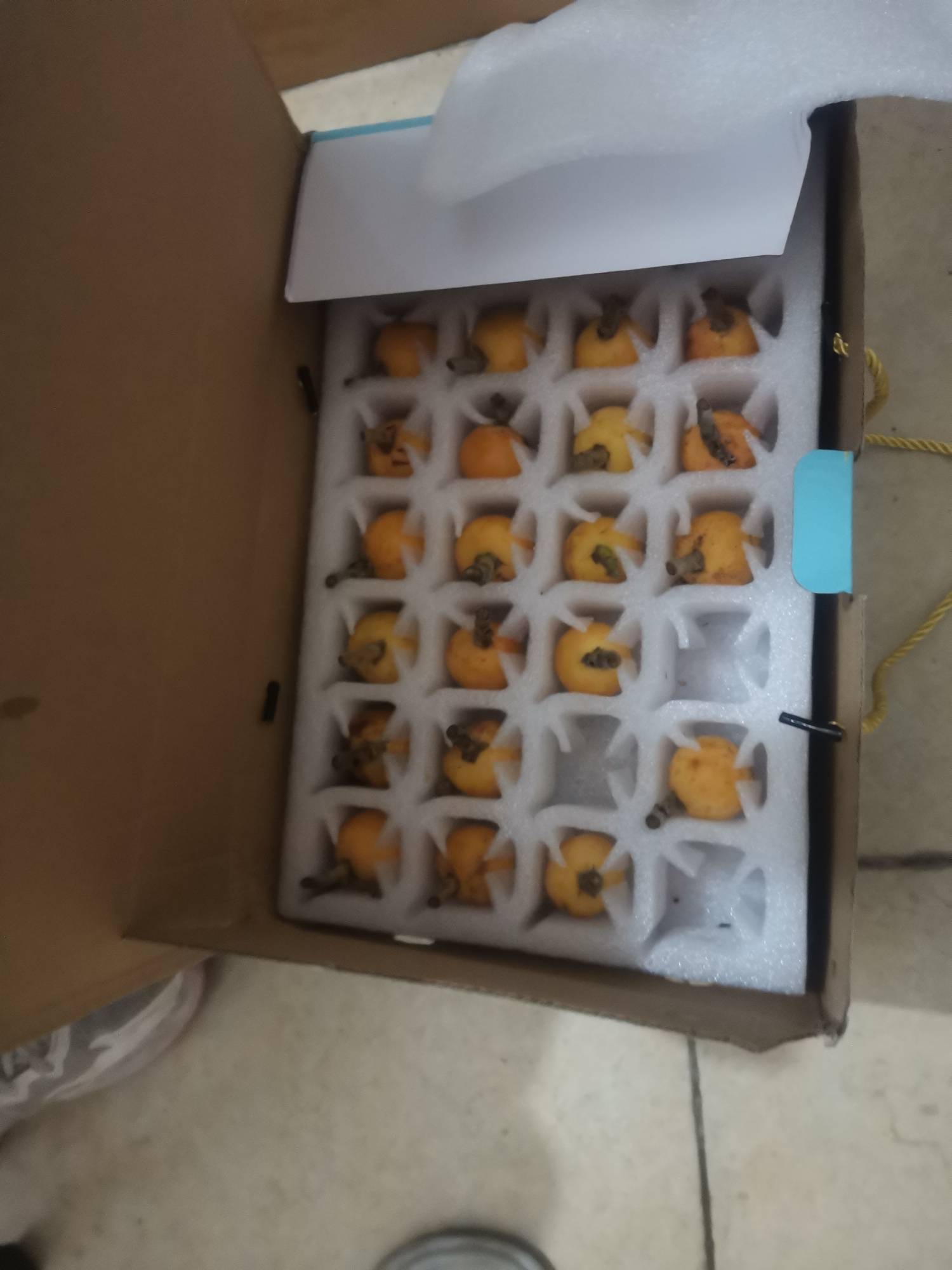 端午节还没到，兄弟公司就给我公司一人一箱了，回礼这个事，应该老板去做了吧，


11 / 作者:去年花开在晴天 / 