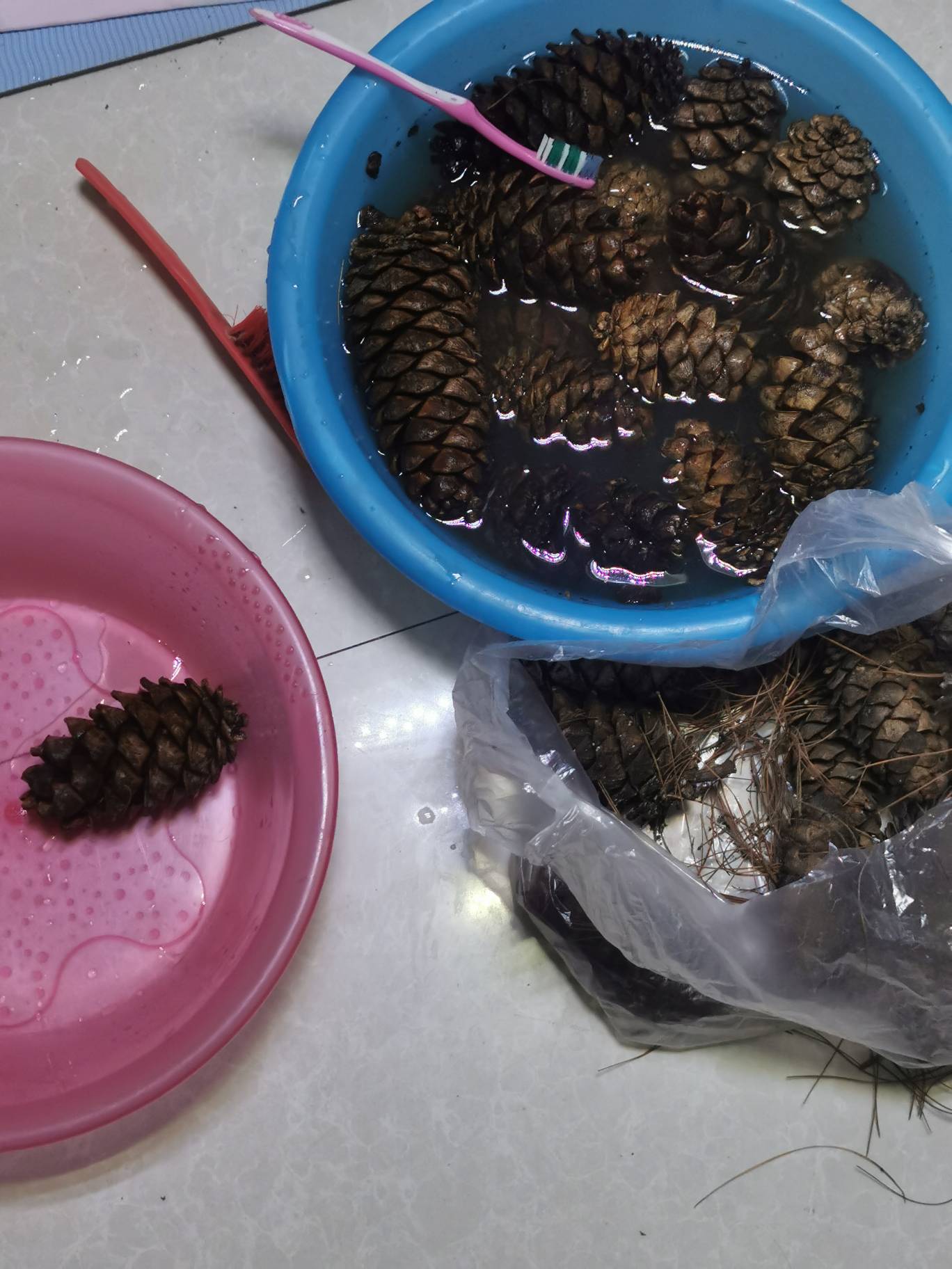 正刷着呢，钻出来一只大蜈蚣，吓我一跳。

28 / 作者:龙飞呀 / 