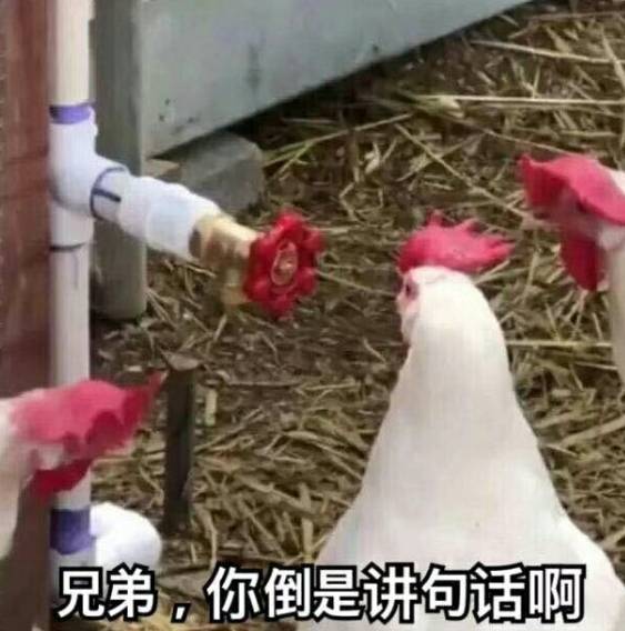 燕云上次周末有补包吗？

33 / 作者:菜梅干 / 