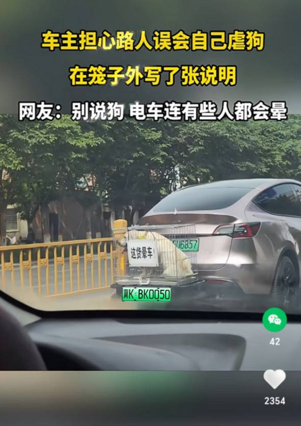 看你们谁还敢晕车

92 / 作者:我是小白菜， / 