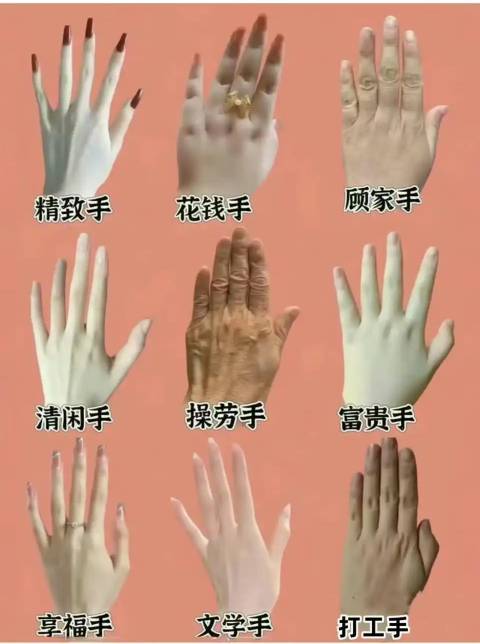 看看你的手是什么

15 / 作者:天空的时候给我 / 