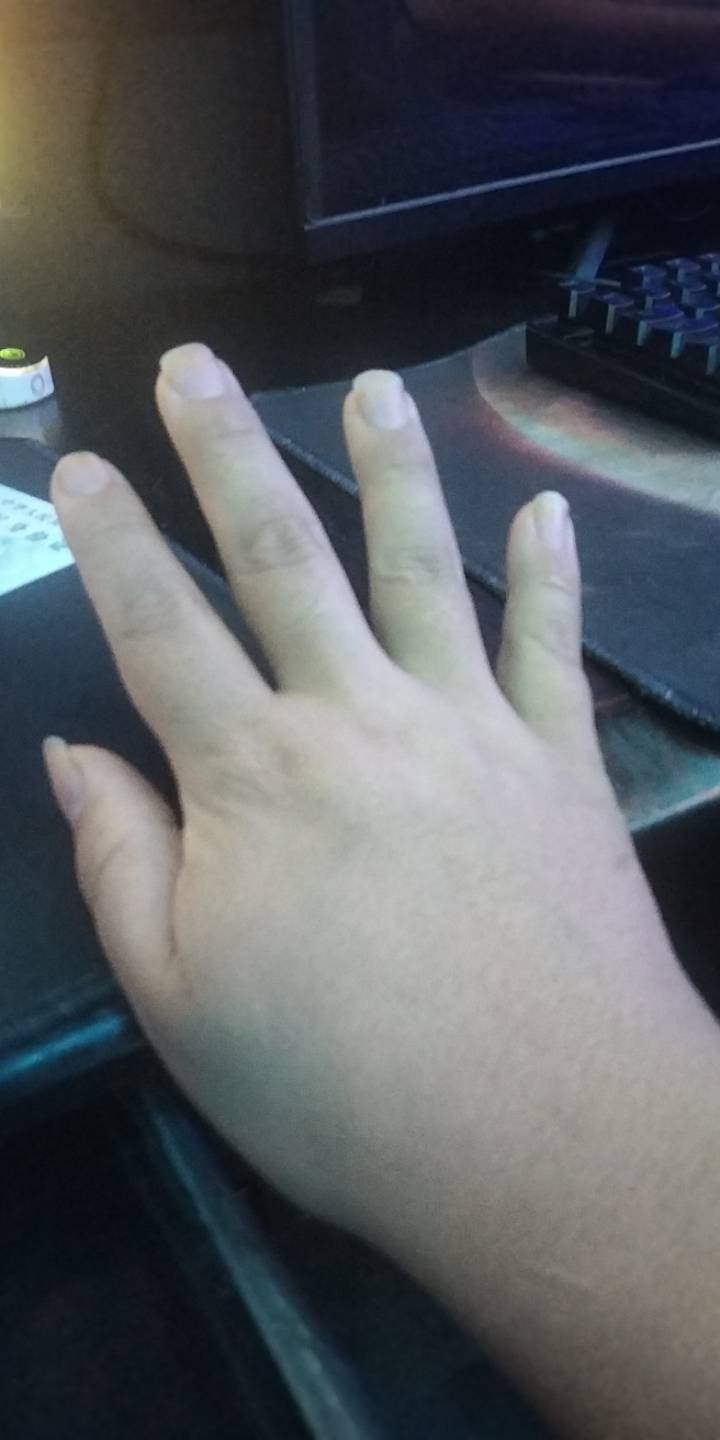 看看你的手是什么

15 / 作者:宁波躺平老哥 / 