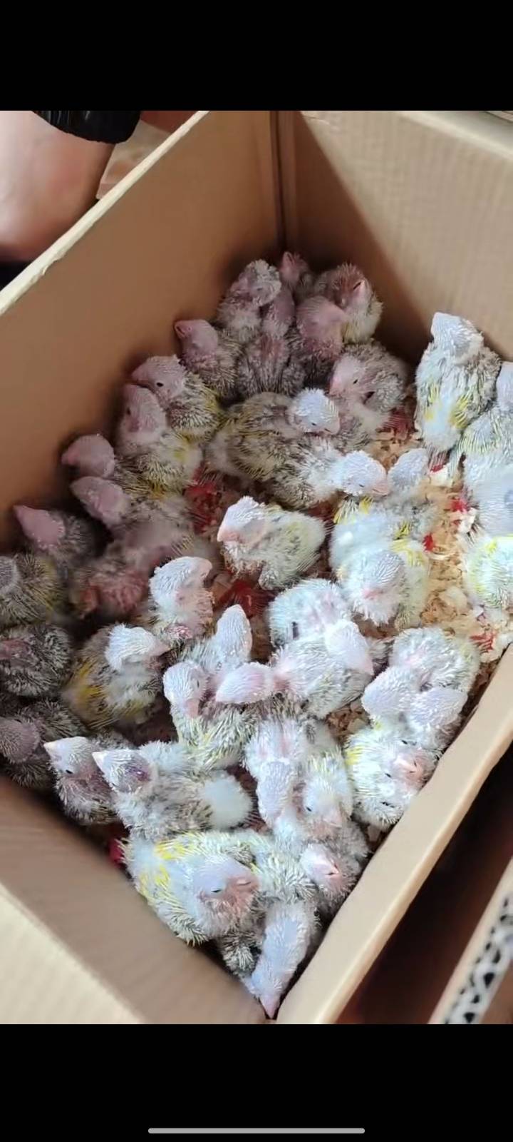 有米剧场小水。

22 / 作者:送葬的芙蓉王 / 